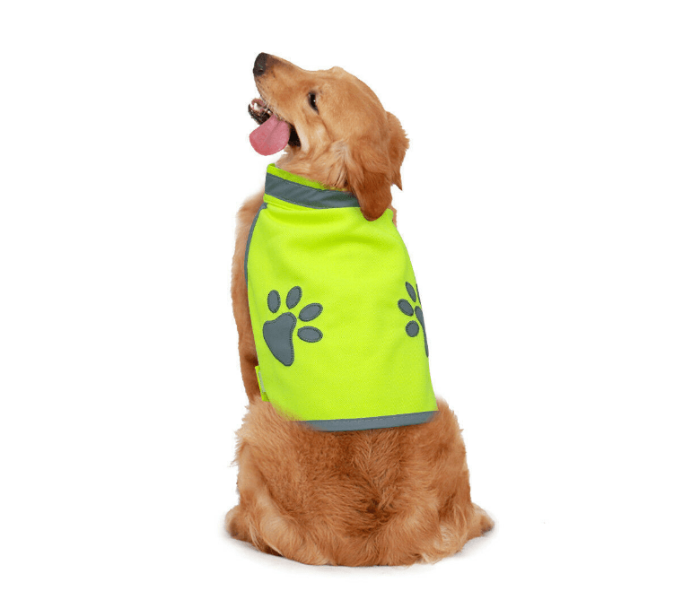 Haustier Reflektierende Sicherheitswesten Hunde Outdoor-Schutzjacke Led Sicherheits-Reflexionsweste